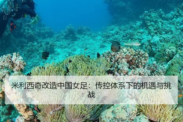 米利西奇改造中国女足：传控体系下的机遇与挑战