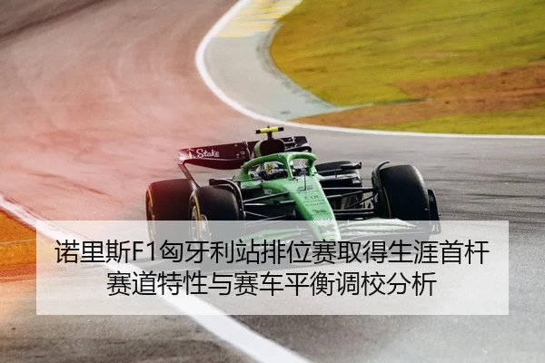 诺里斯F1匈牙利站排位赛取得生涯首杆赛道特性与赛车平衡调校分析